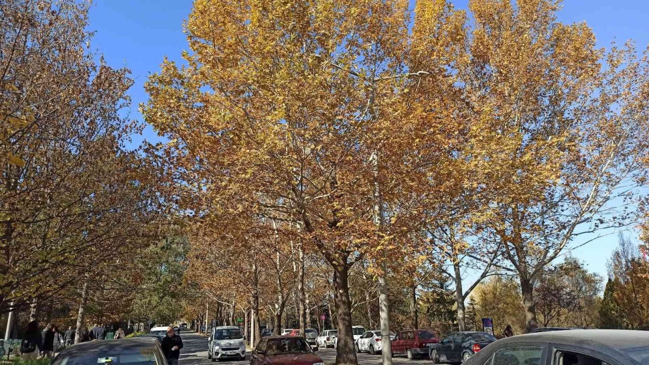 ESOGÜ’den hayran bırakan sonbahar manzaraları