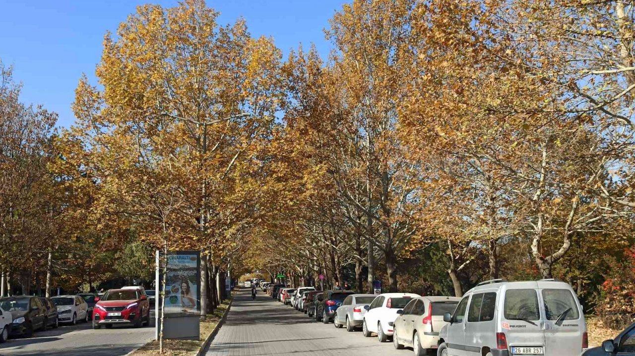 ESOGÜ’den hayran bırakan sonbahar manzaraları