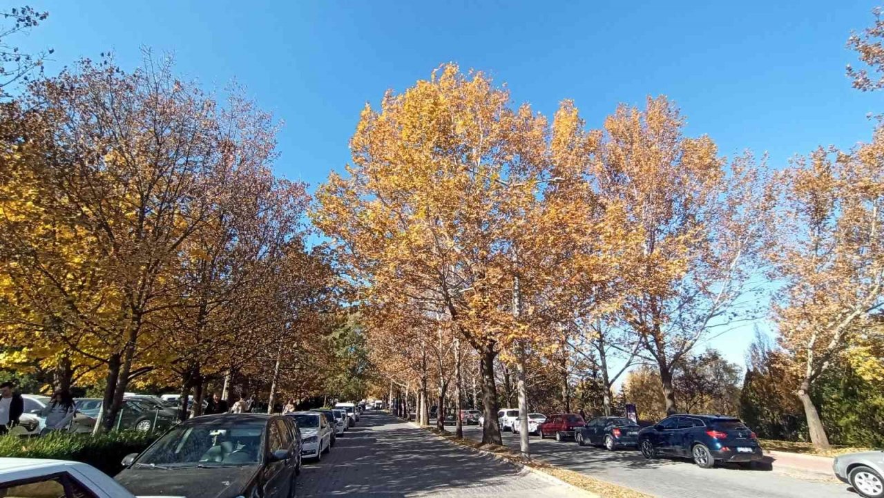 ESOGÜ’den hayran bırakan sonbahar manzaraları