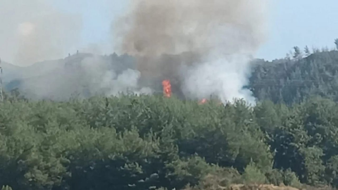 Dörtyol’da çıkan orman yangını söndürüldü