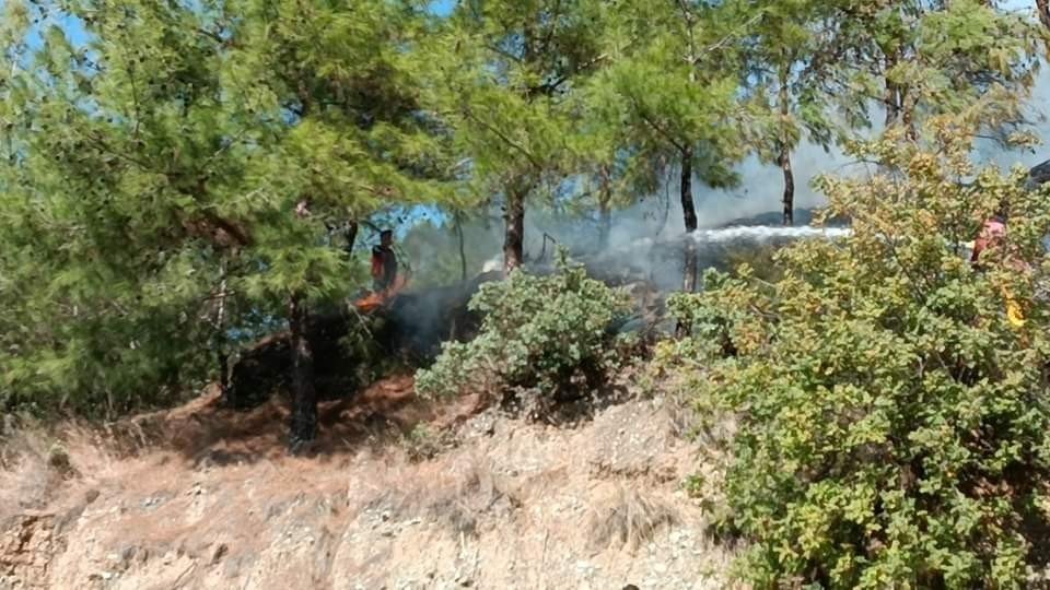 Dörtyol’da çıkan orman yangını söndürüldü