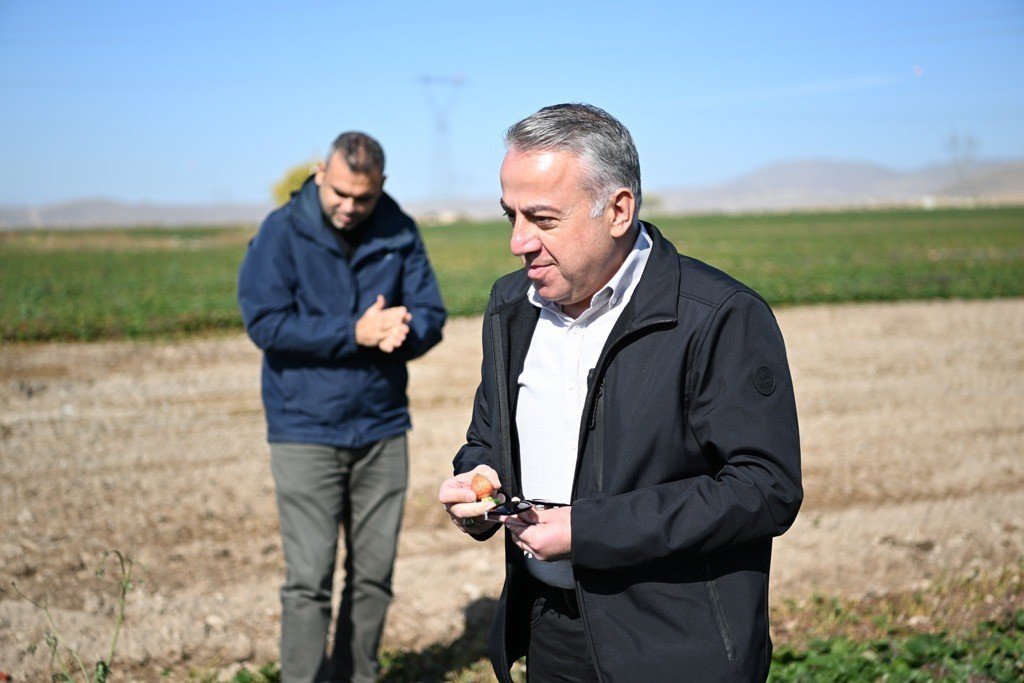 Çilekte Marka Şehir Kayseri