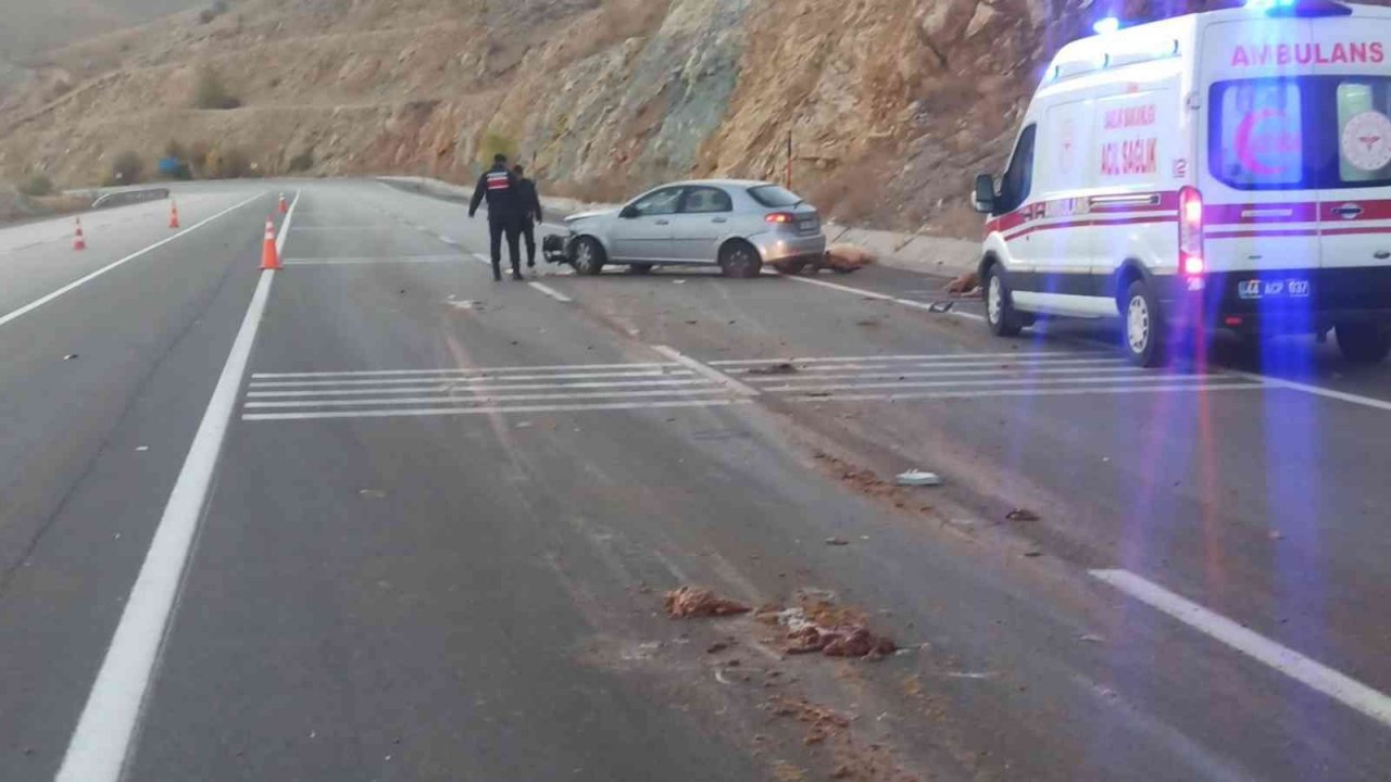 Otomobil sürüye daldı, 18 koyun telef oldu