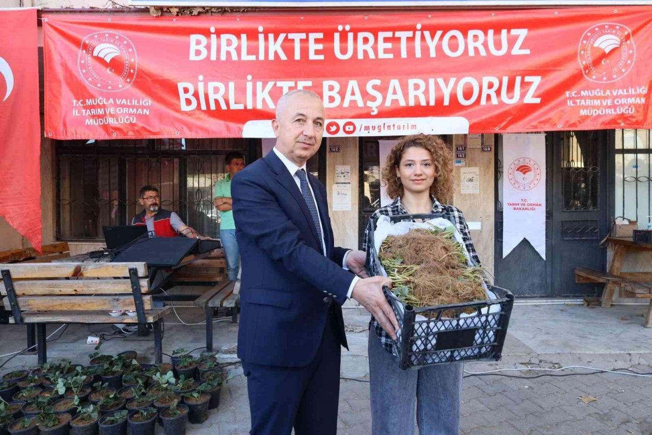 Muğla’da ’Çilek Projesi’ büyümeye devam ediyor