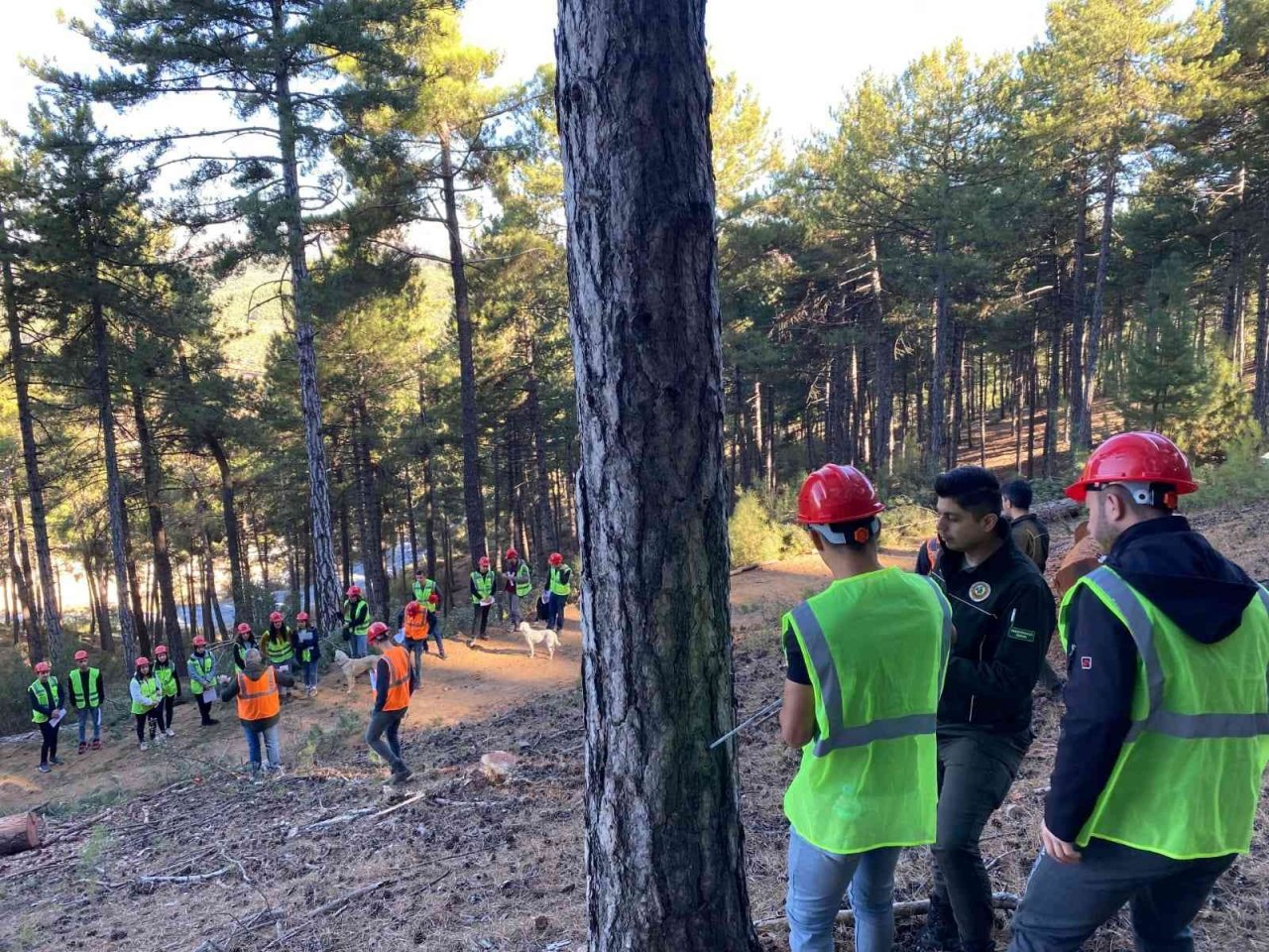 Kavaklıdere’de Ormancılık Bölümü öğrencilerine arazide eğitim verildi
