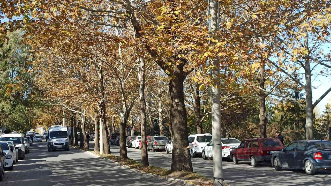 ESOGÜ’den hayran bırakan sonbahar manzaraları