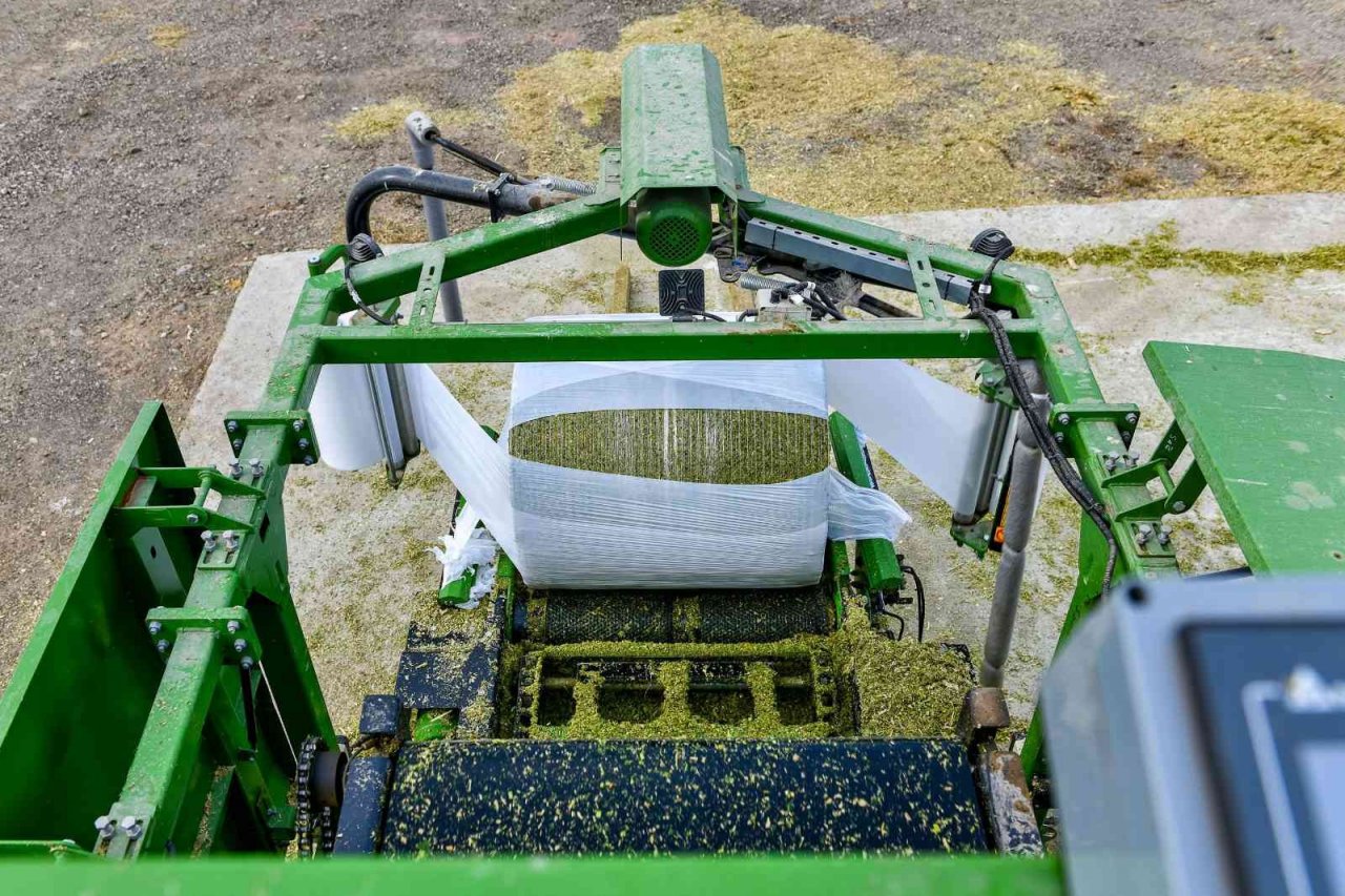 Tarım Kampüsü’nde yetiştirilen silajlık mısır hasadı yapıldı
