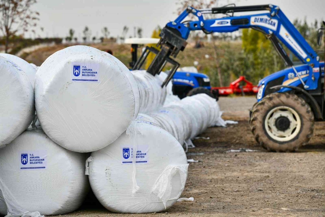 Tarım Kampüsü’nde yetiştirilen silajlık mısır hasadı yapıldı