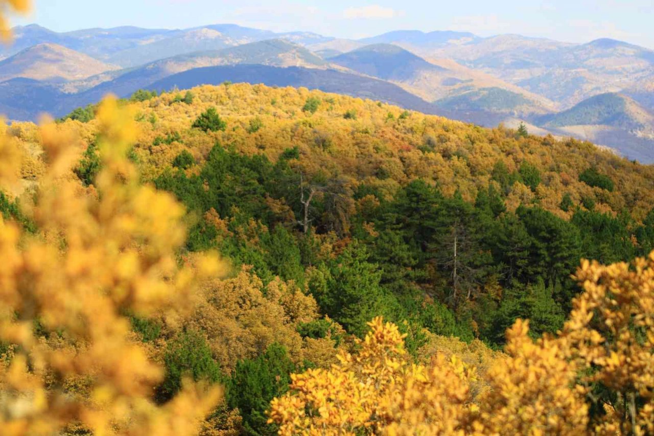 Soğuksu Milli Parkı’nda masalsı sonbahar manzarası