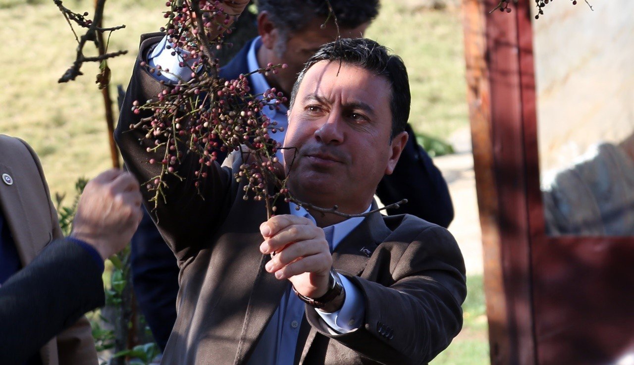 Bodrum Belediyesi’nde drone ile ilaçlama dönemi başlıyor