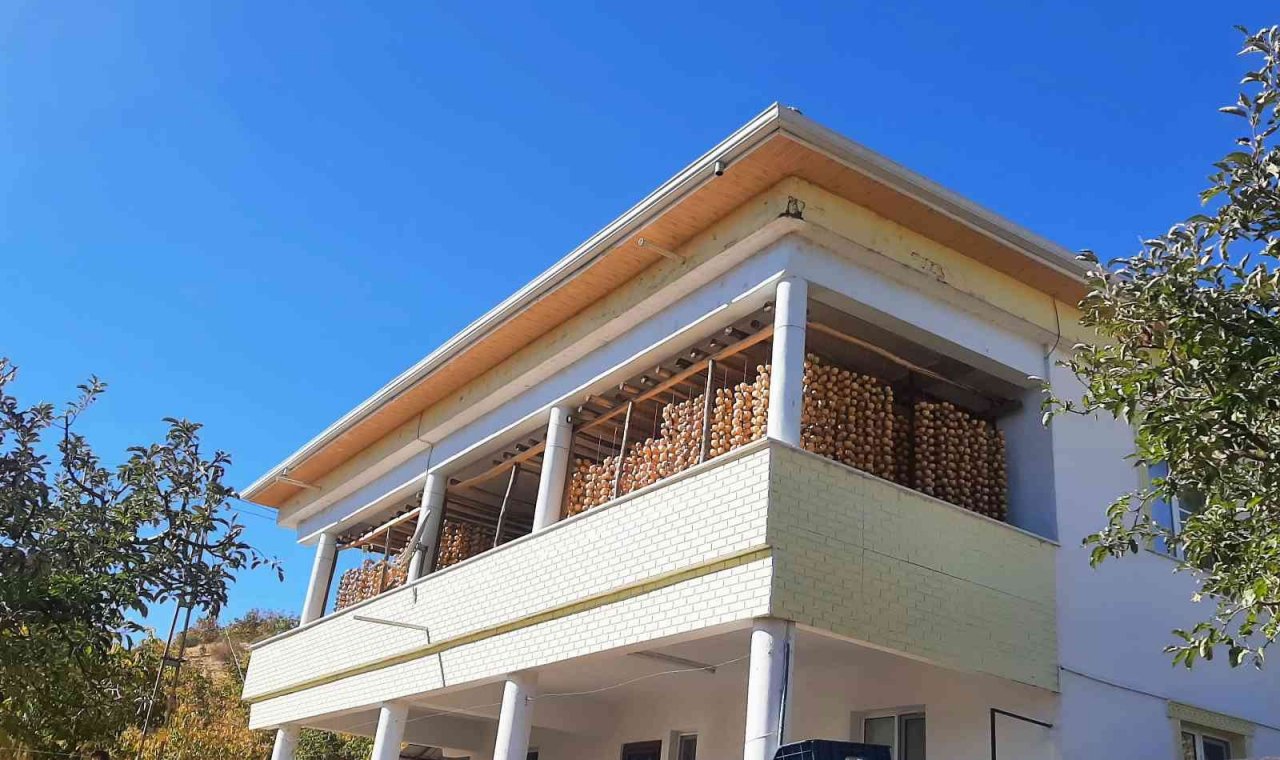 İplere dizilen altın sarısı hurmaların "kuruyemiş" yolculuğu başladı