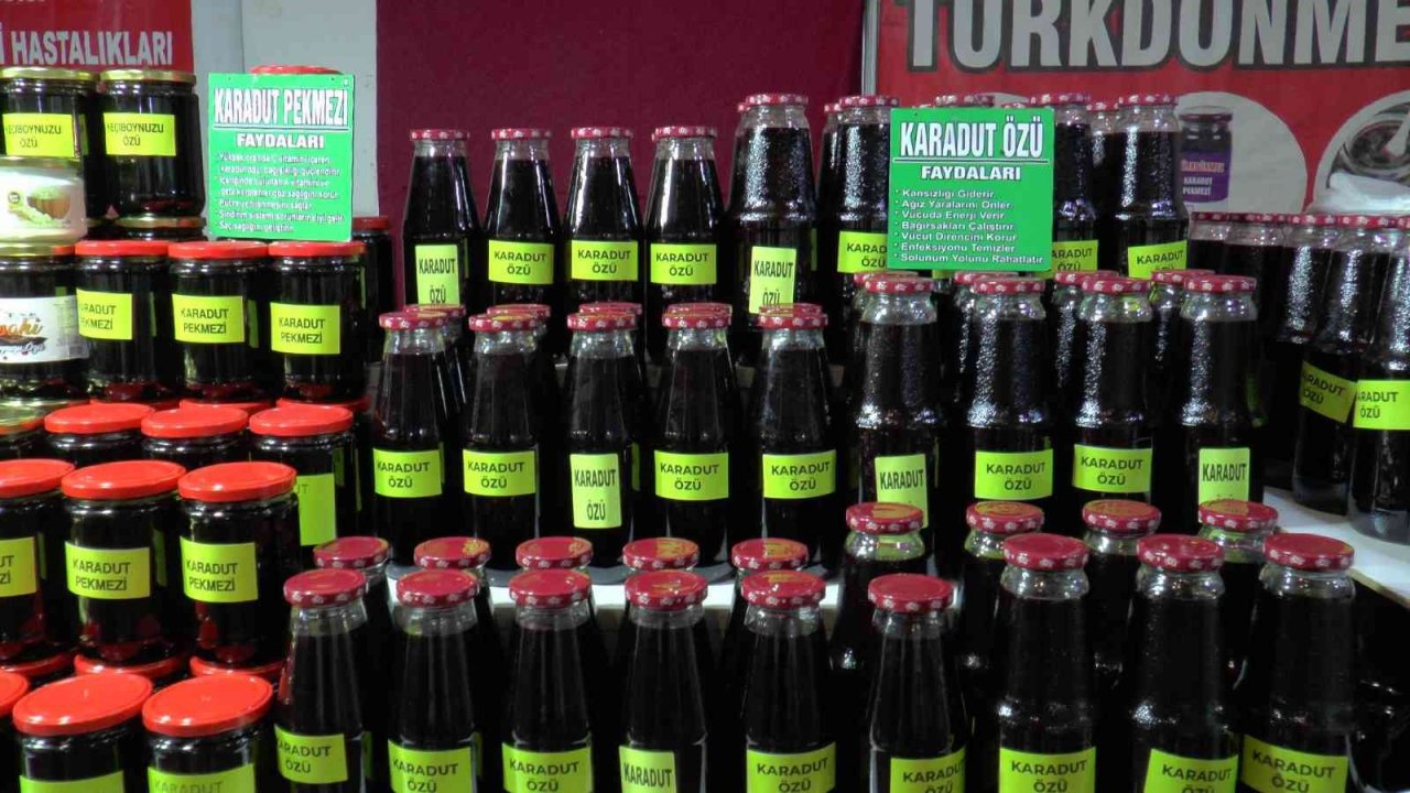 Karadutun en faydalı hali