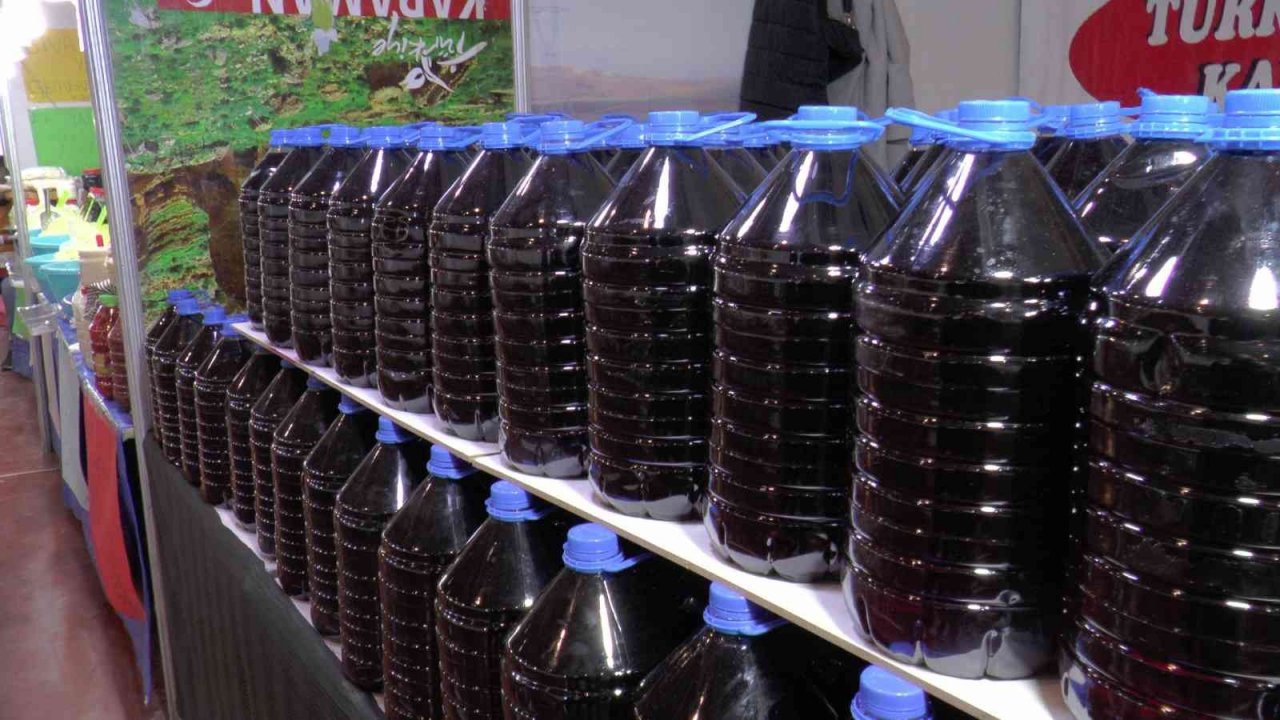 Karadutun en faydalı hali