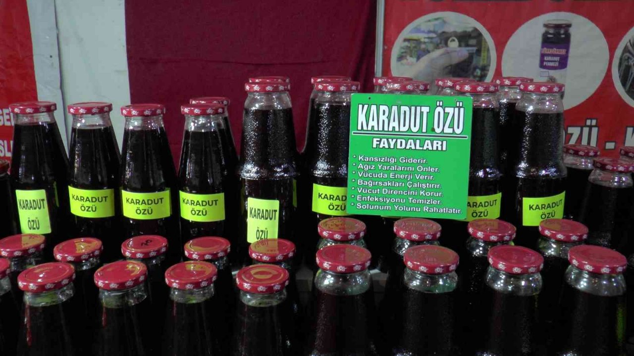 Karadutun en faydalı hali