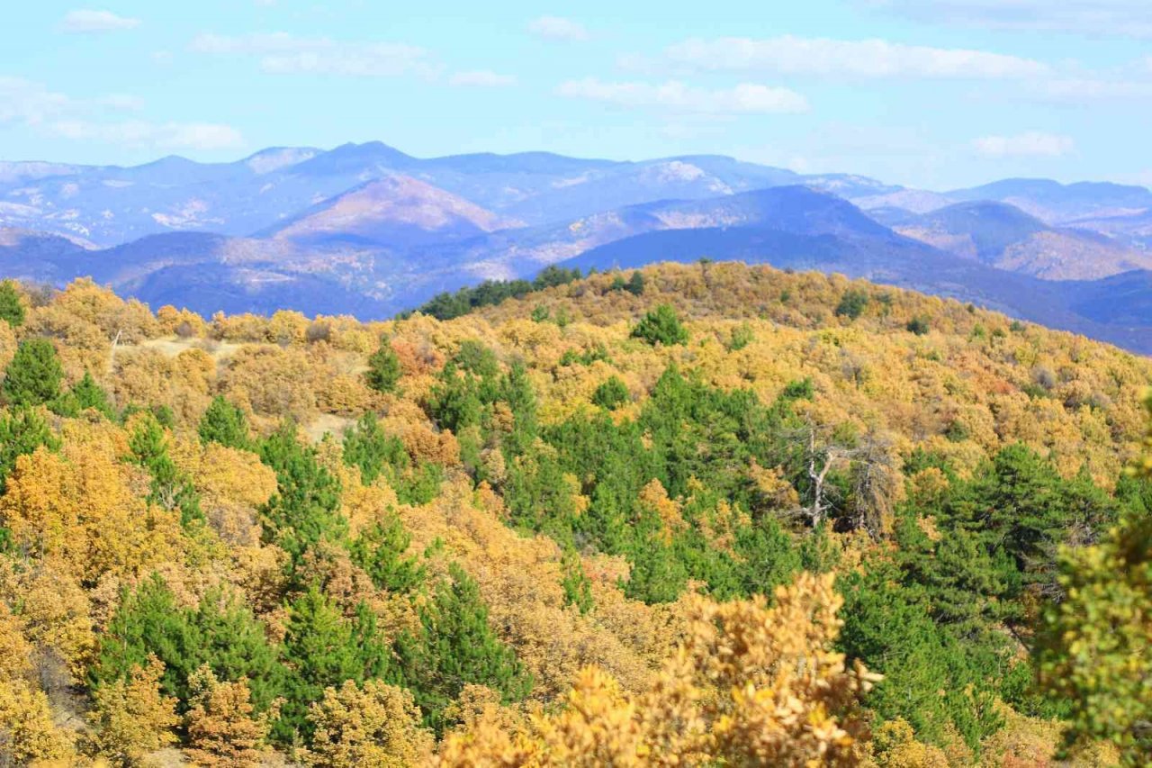 Soğuksu Milli Parkı’nda masalsı sonbahar manzarası