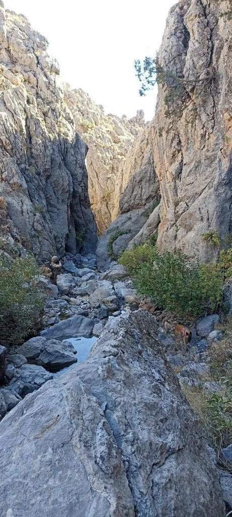 Van’da "Eren Abluka Jandarma Çavuş Mustafa Bozkurt Operasyonu" başlatıldı