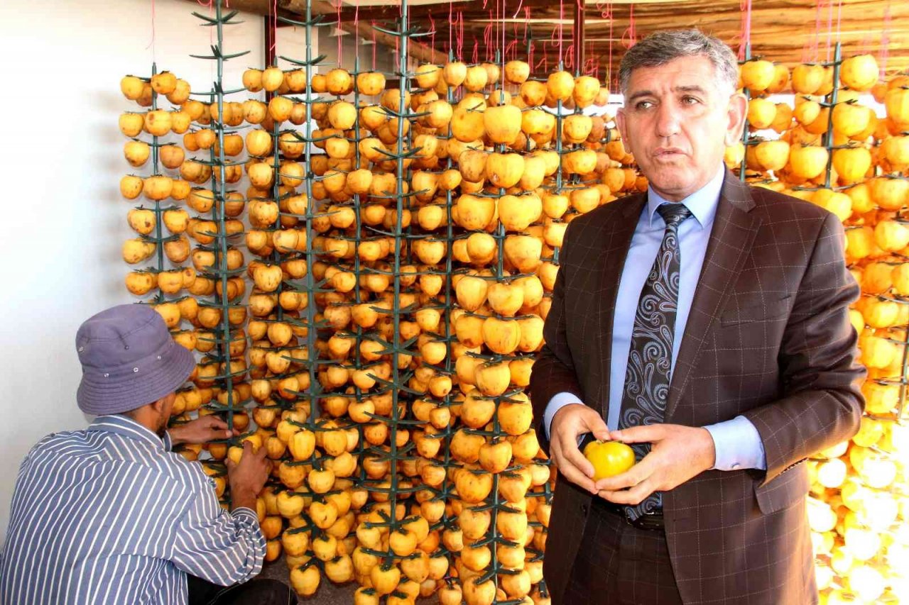 İplere dizilen altın sarısı hurmaların "kuruyemiş" yolculuğu başladı