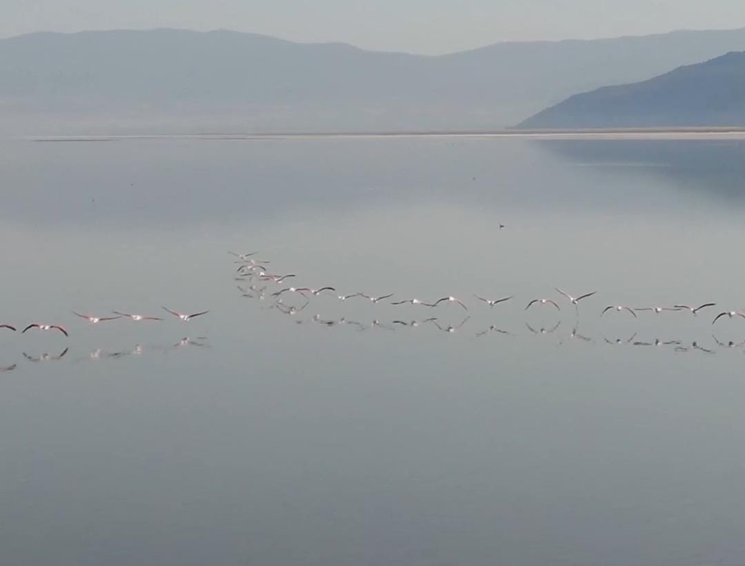 Acıgöl’ün sahipleri böyle görüntülendi