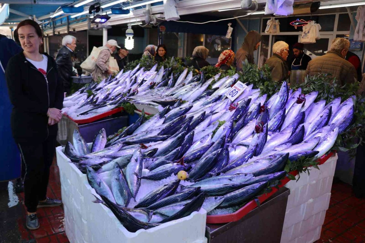 Bolu’da balık tezgahları palamut ve hamsiyle doldu