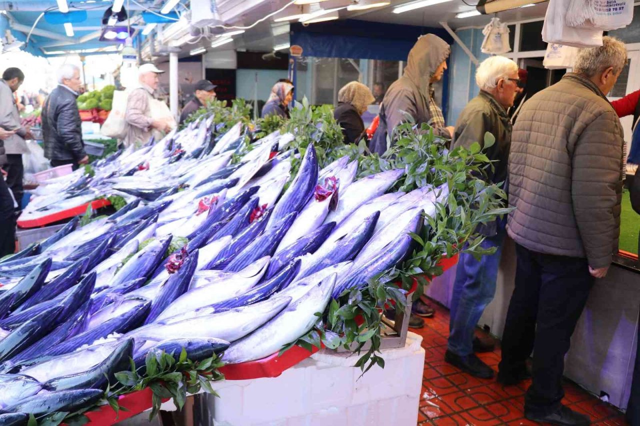 Bolu’da balık tezgahları palamut ve hamsiyle doldu
