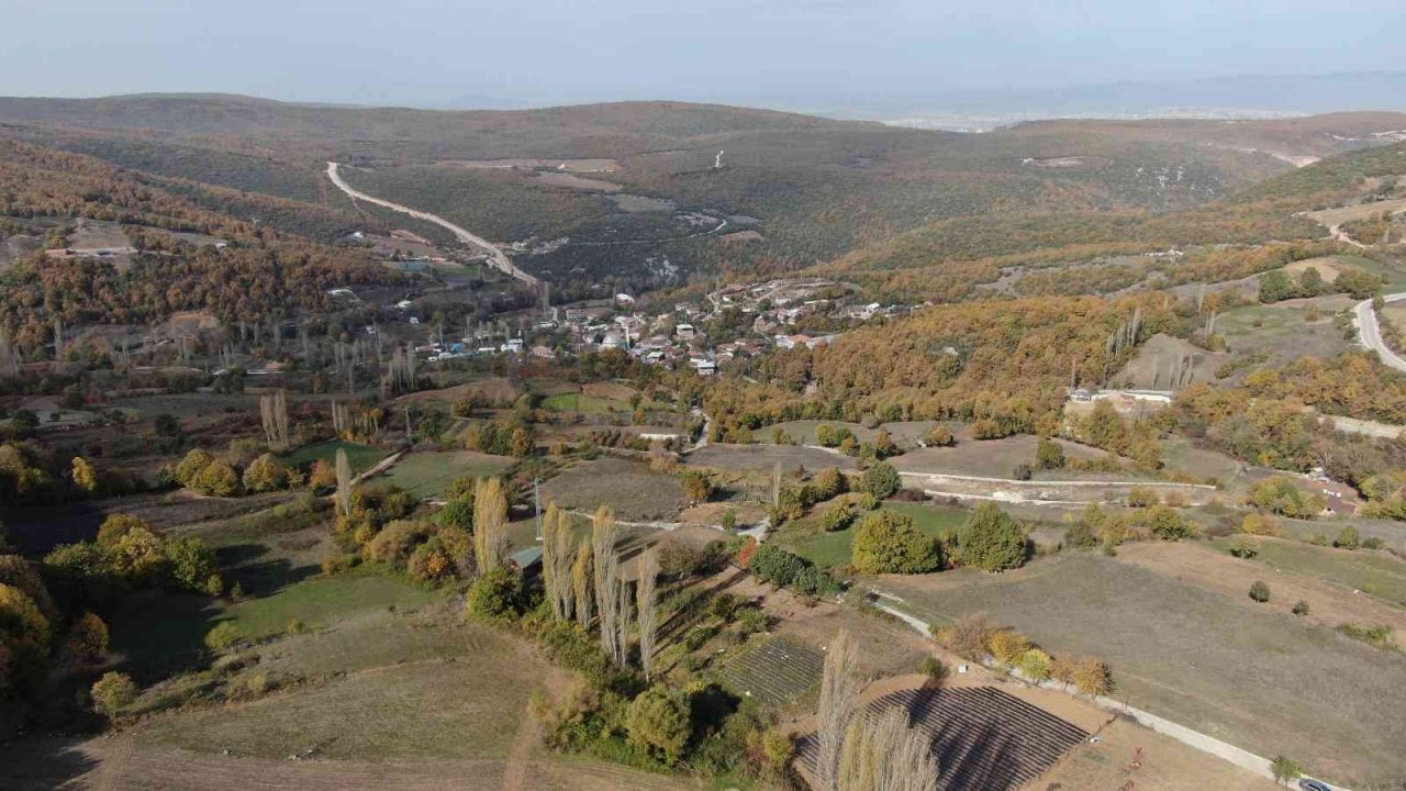 Köylü kadınların hayatı bir fide ile değişti...Köyün tamamı 7 ay çilek üretiyor