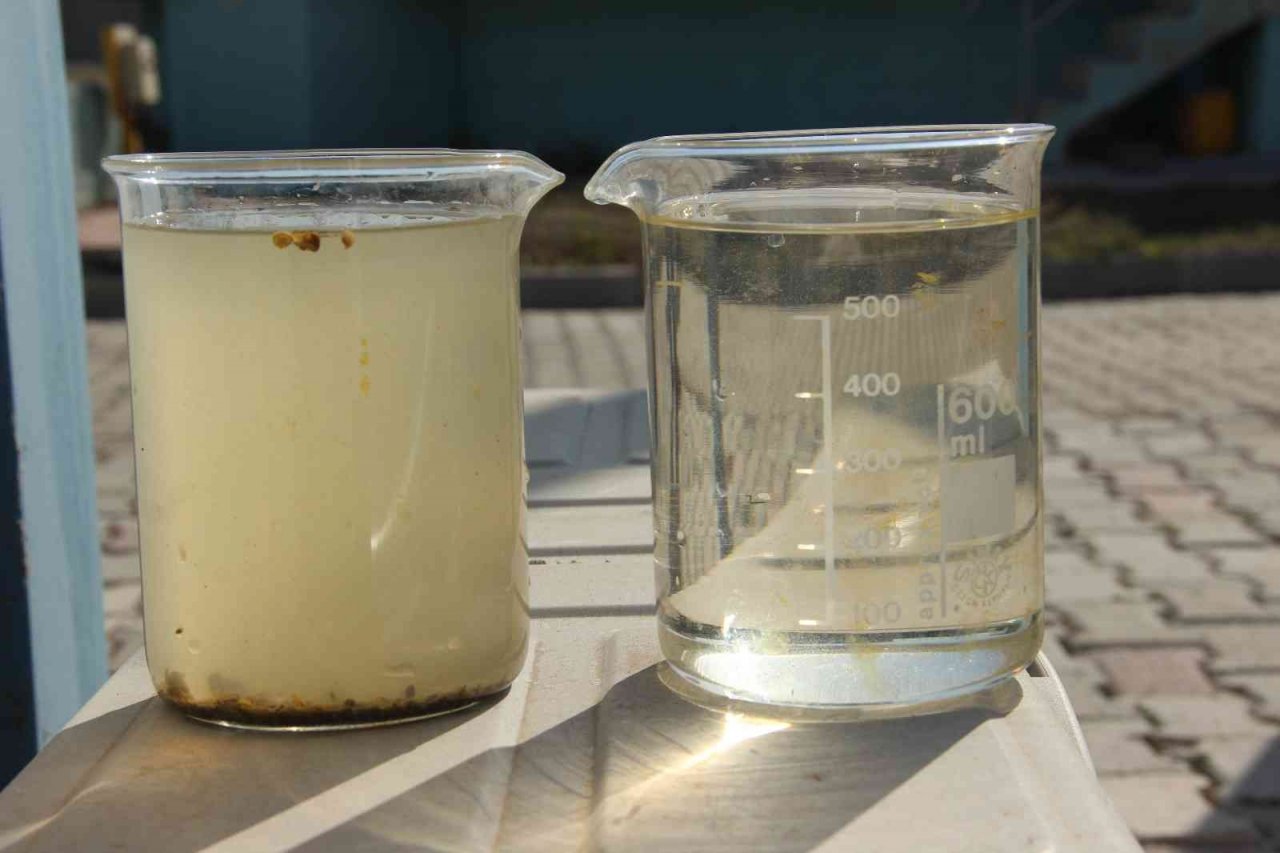 Balıkların yeni adresi atık su arıtma tesisi oldu