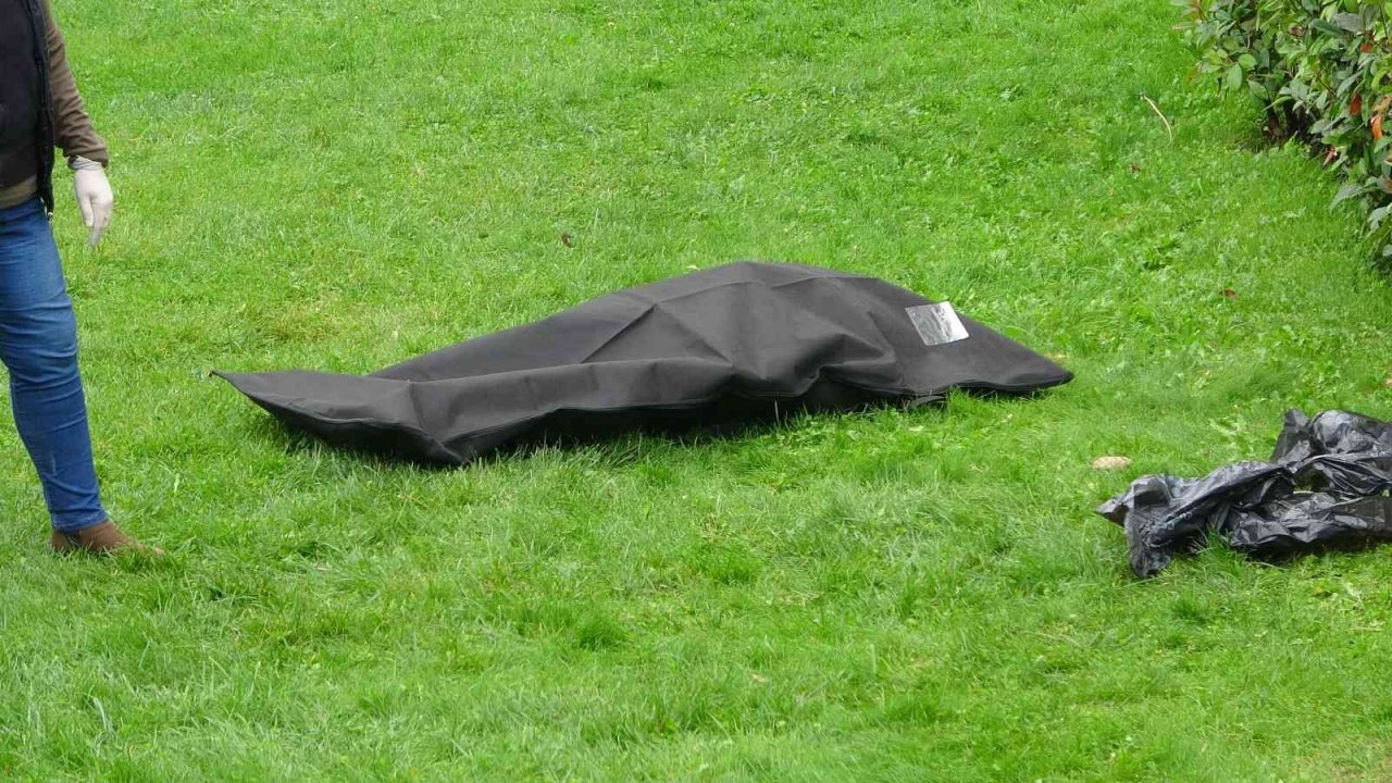 Yaşlı adam parkta ölü bulundu