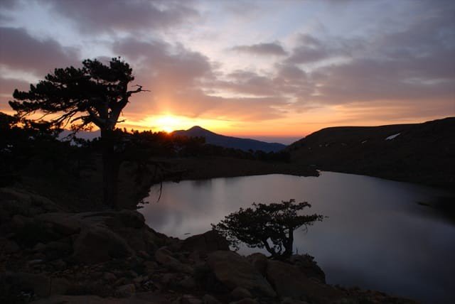 Kartal Gölündeki detay Beşiktaşları sevindirecek