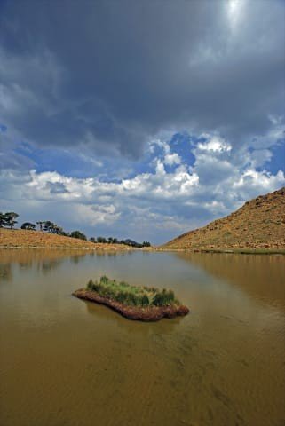 Kartal Gölündeki detay Beşiktaşları sevindirecek