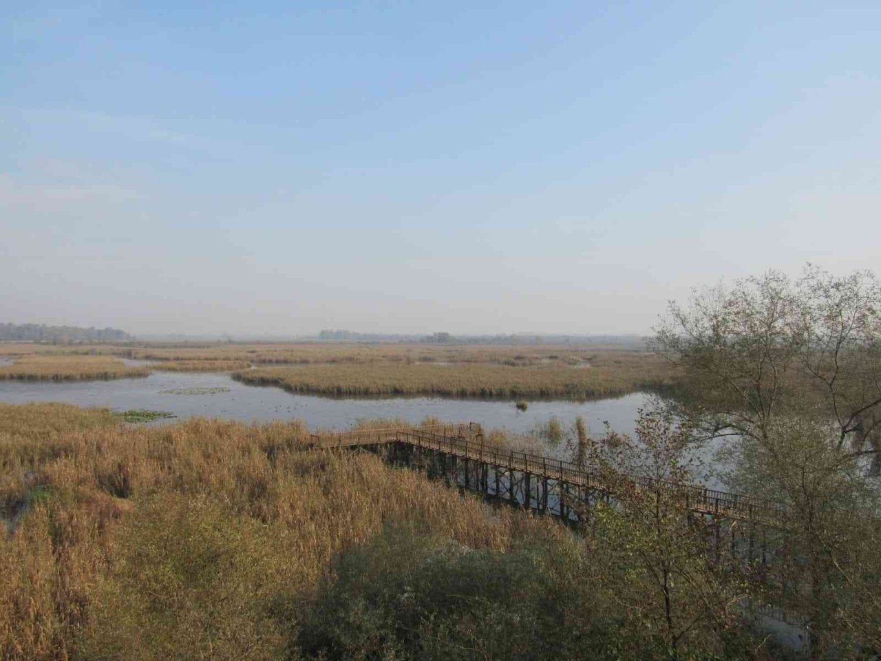 Efteni kuş gözlem kulesi hizmete açıldı