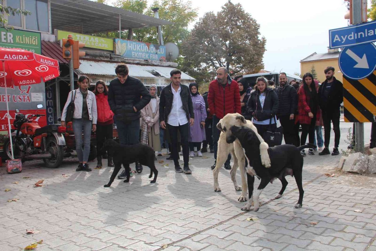 Öğrencilerden anlamlı proje, Şehit Fethi Sekin utulmadı