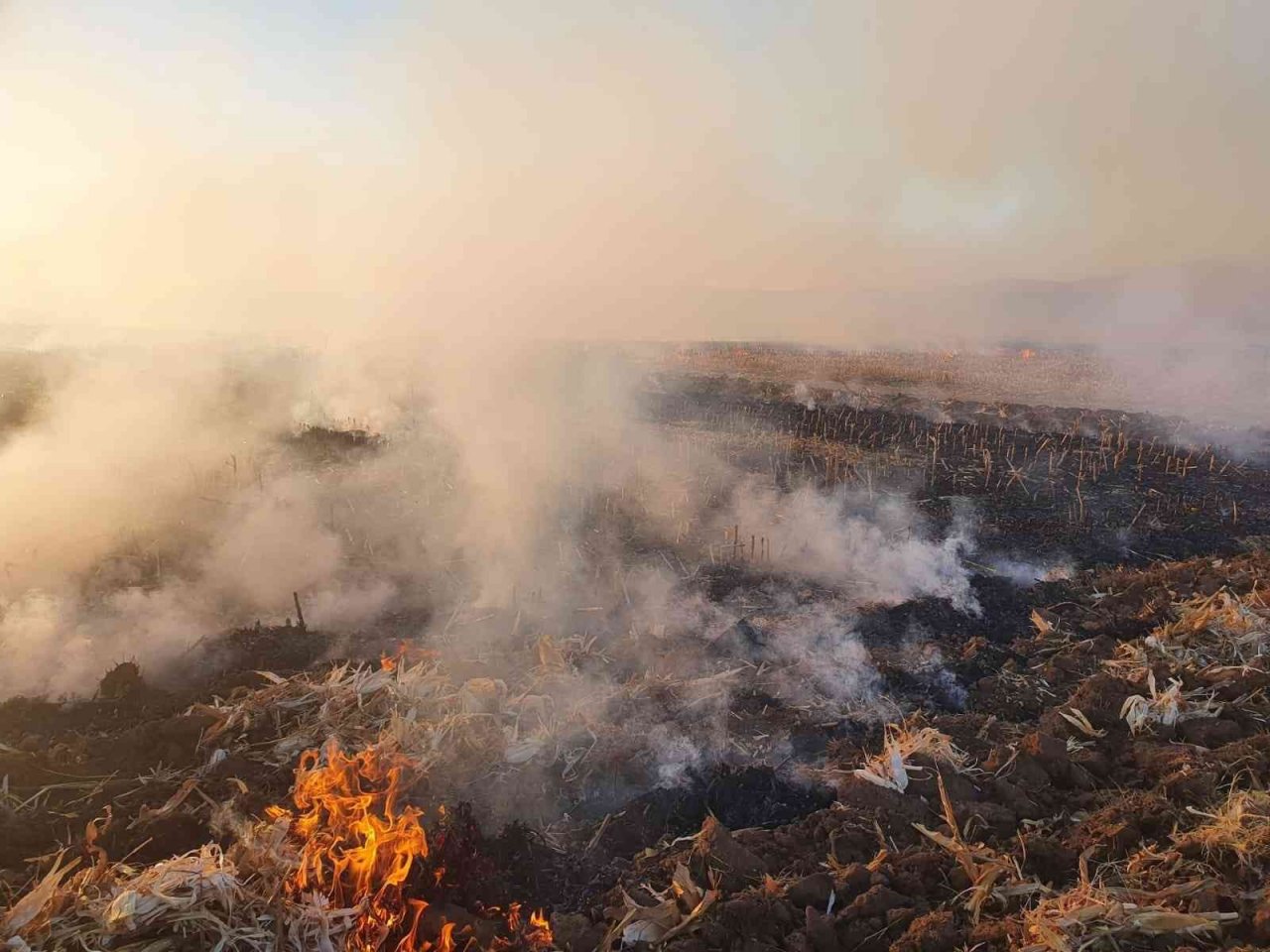 Anız yangınında 100 dönüm arazi kül oldu