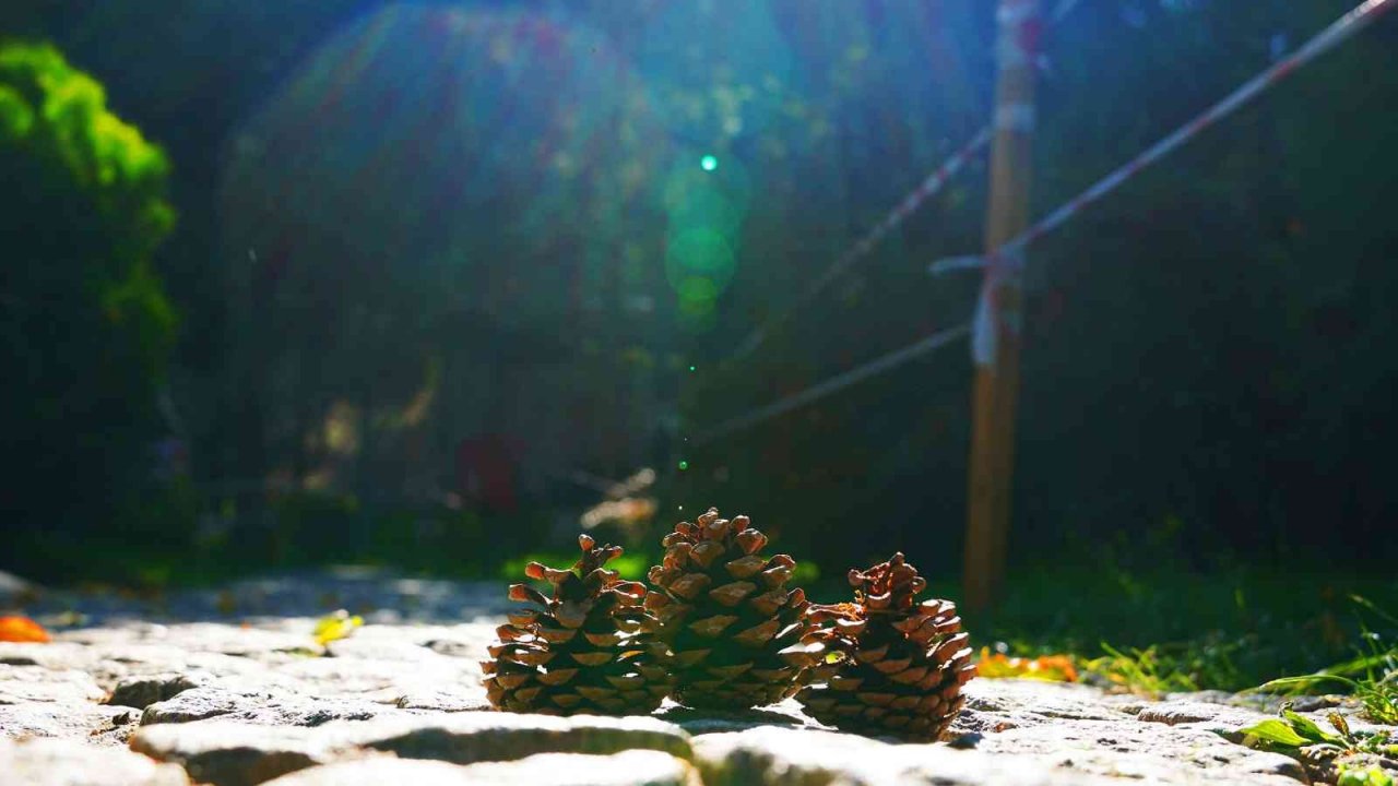 Sonbaharda ’Seyr-i Sefa’ Keçiören