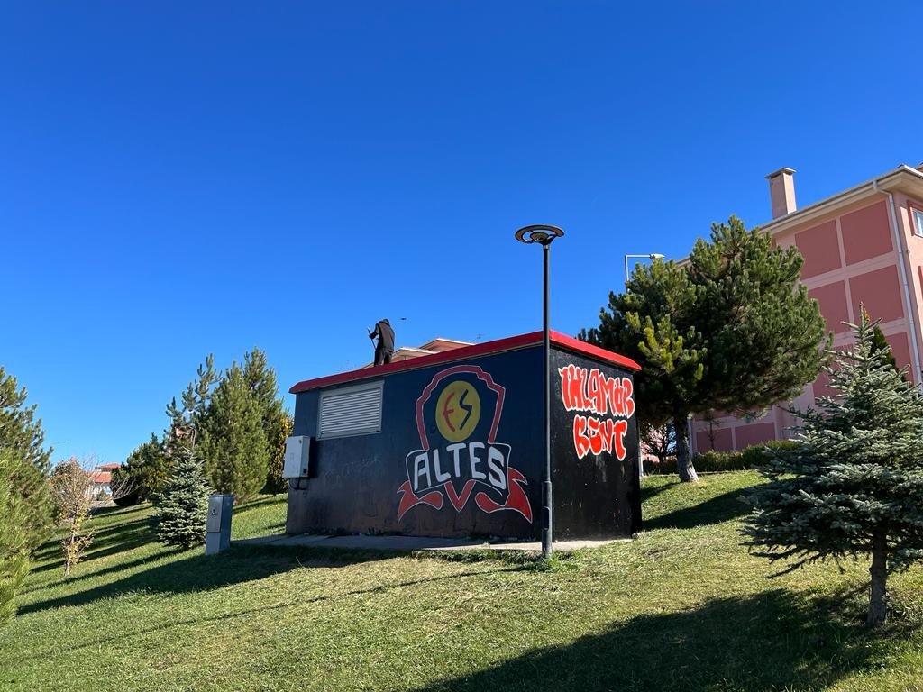 Mahalleyi güzelleştirmek için gençler ve muhtar güç birliği yaptı