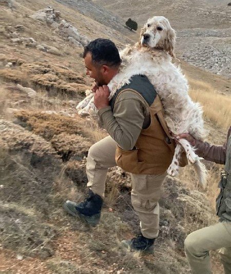 Yorulan köpeğini 5 kilometre sırtında taşıdı