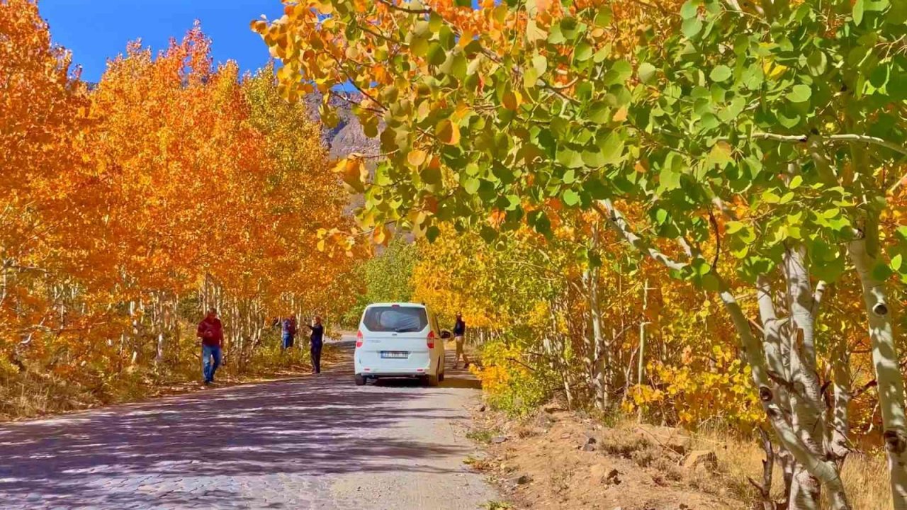Kışa hazırlanan Nemrut Krater Gölü’nde renk cümbüşü