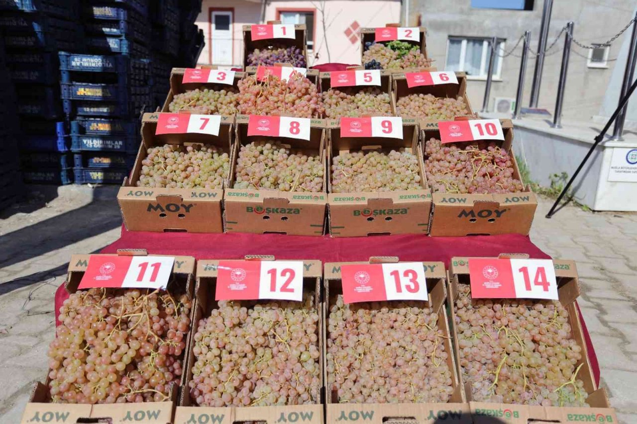 Arsa mahallesi Agro turizm merkezi oluyor