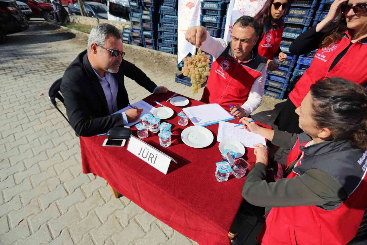Arsa mahallesi Agro turizm merkezi oluyor