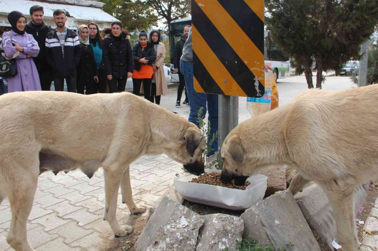 Öğrencilerden anlamlı proje, Şehit Fethi Sekin utulmadı