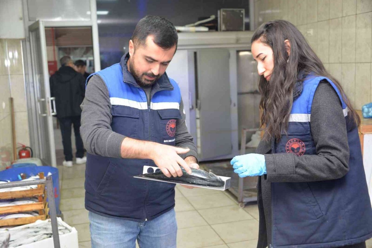 Balık pazarında denetim