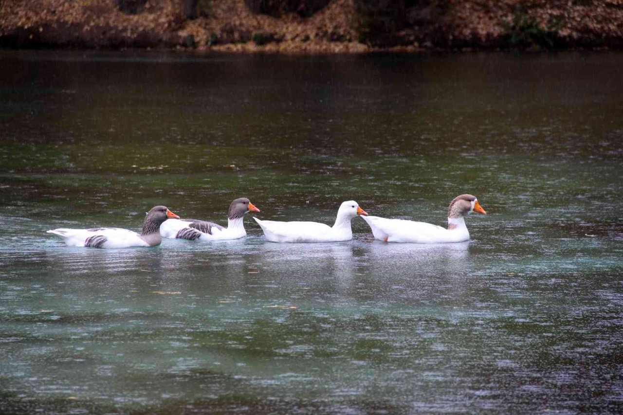 ’Bozkırın nazar boncuğu’ sonbaharda göz kamaştırıyor