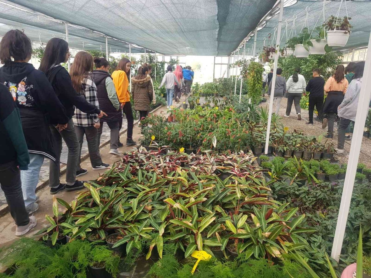 Öğrenciler, belediye serasında çiçekleri toprakla buluşturdu