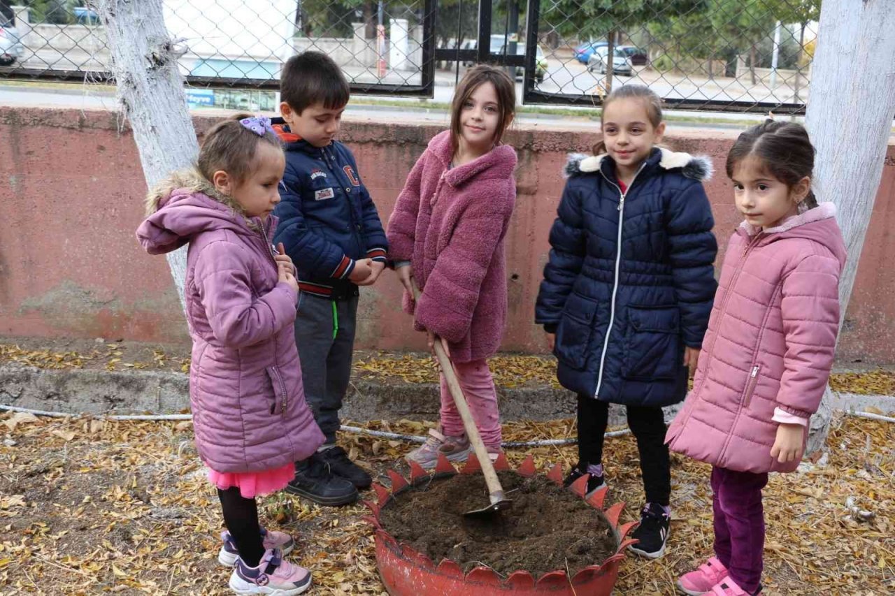 Minik öğrenciler okullarında lavanta dikti