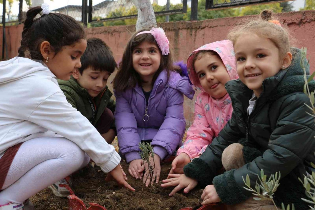 Minik öğrenciler okullarında lavanta dikti