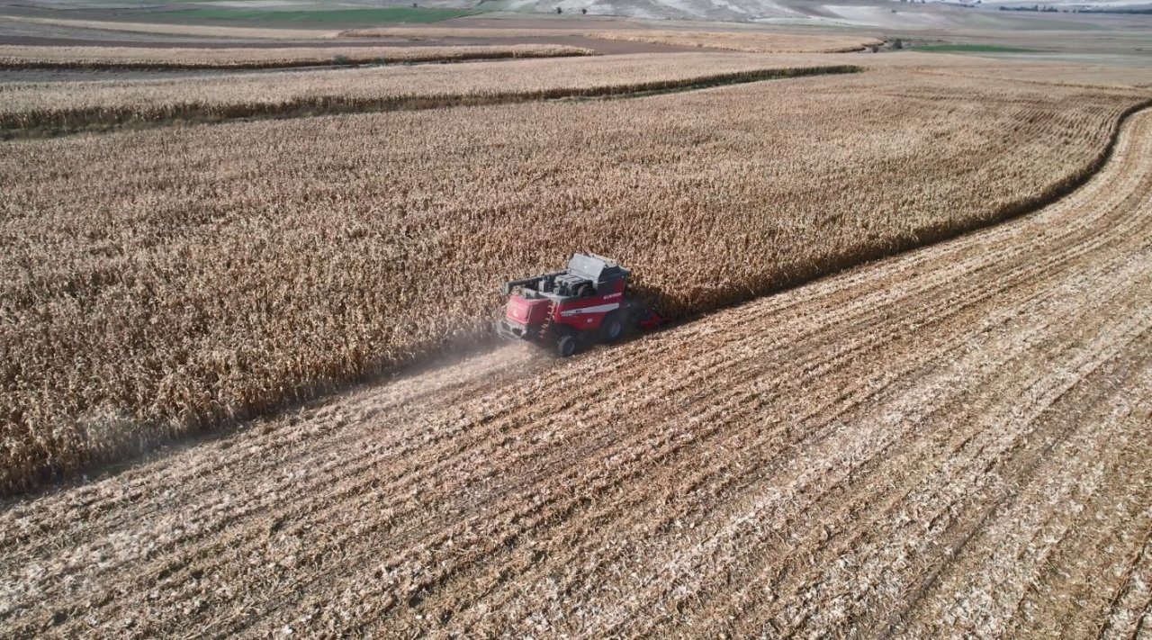 Yemlik dane mısırda hasat başladı