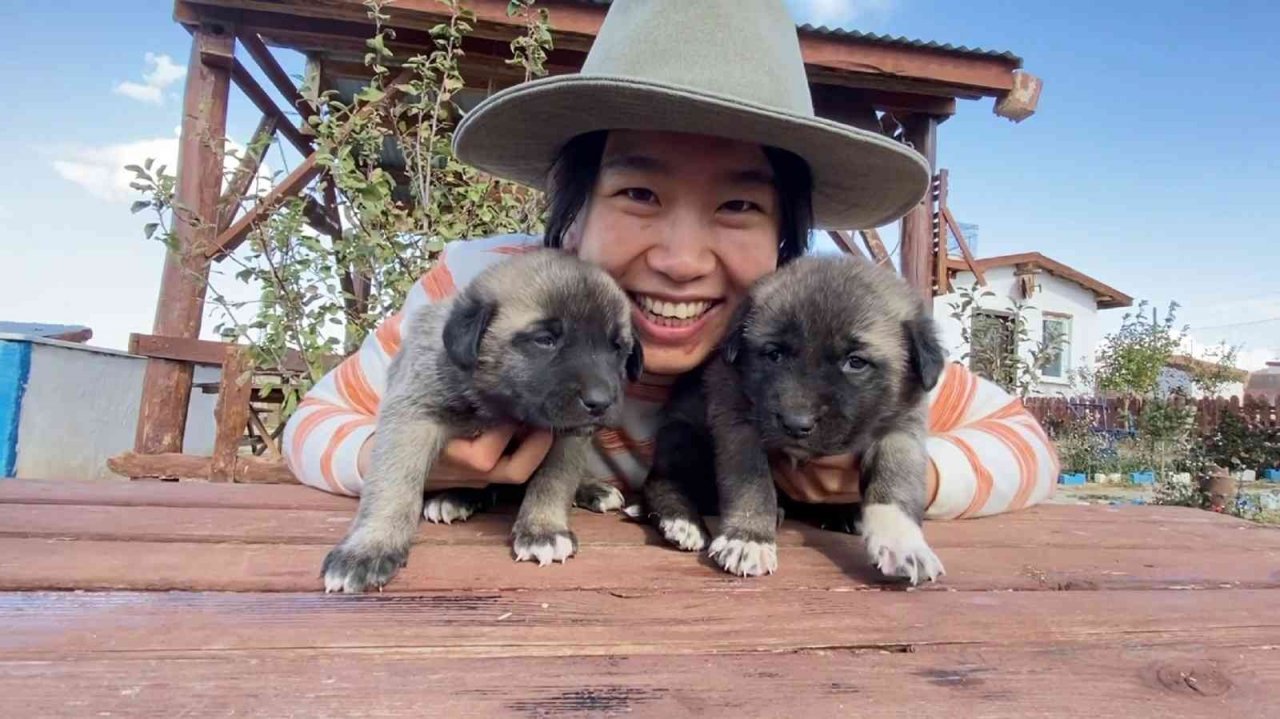 Anadolu Aslan’ı Çin’de boy gösterecek
