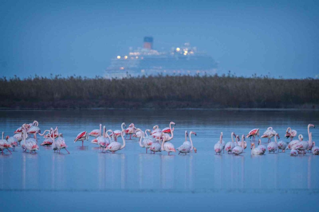 1915 Çanakkale Köprüsü’nde kartpostallık fotoğraflar