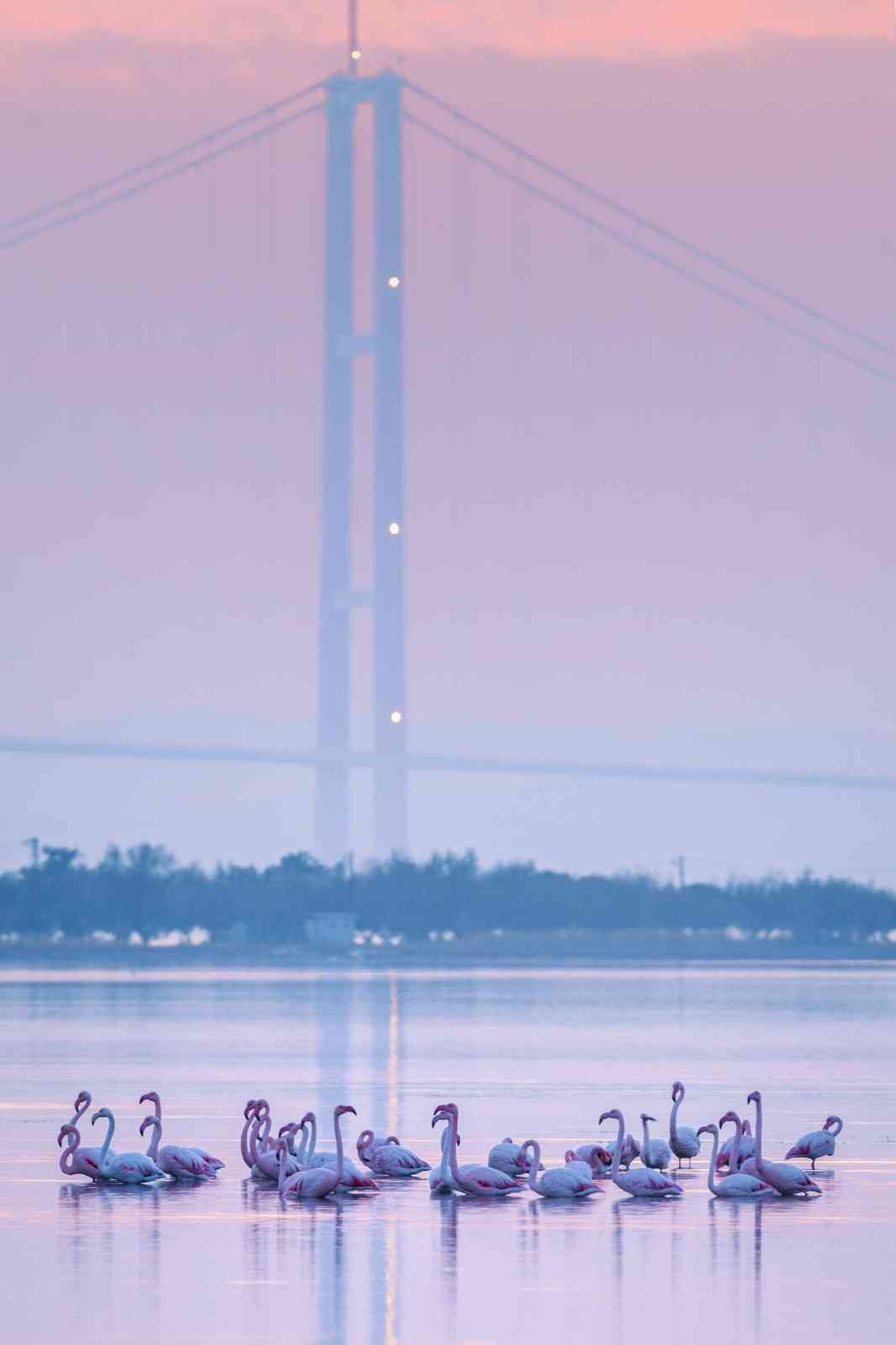 1915 Çanakkale Köprüsü’nde kartpostallık fotoğraflar