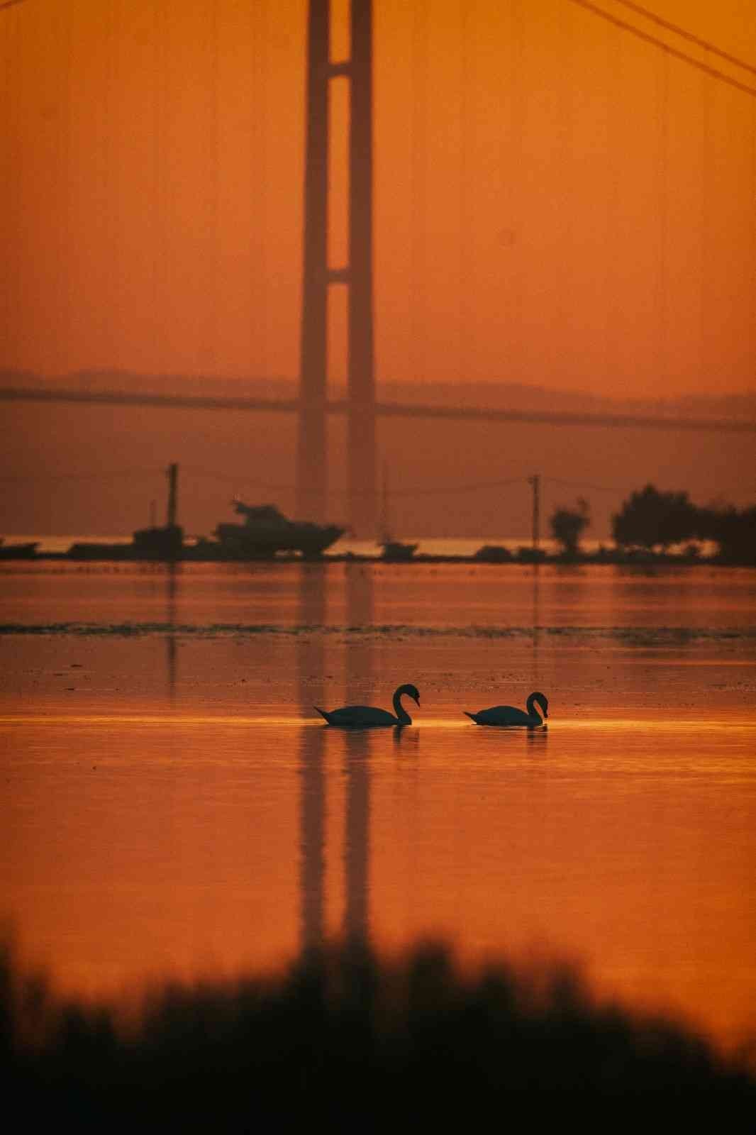 1915 Çanakkale Köprüsü’nde kartpostallık fotoğraflar