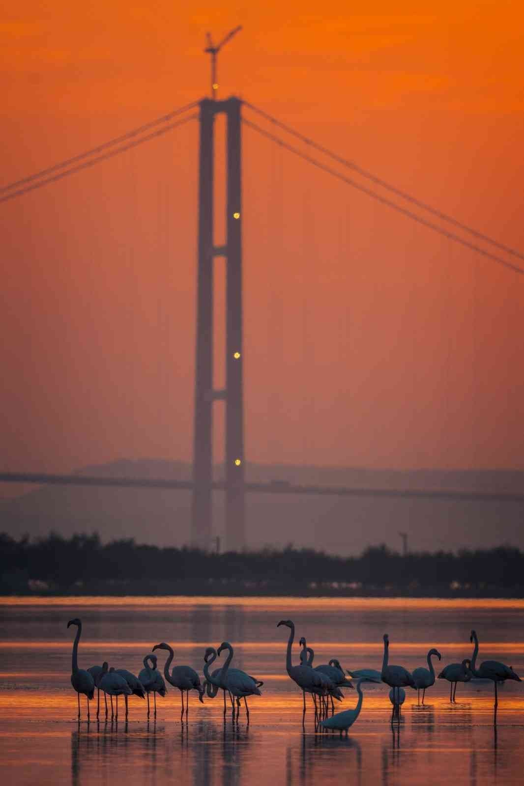 1915 Çanakkale Köprüsü’nde kartpostallık fotoğraflar